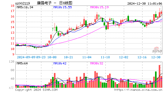 康强电子