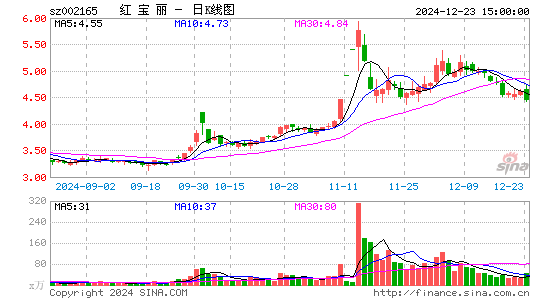 红宝丽