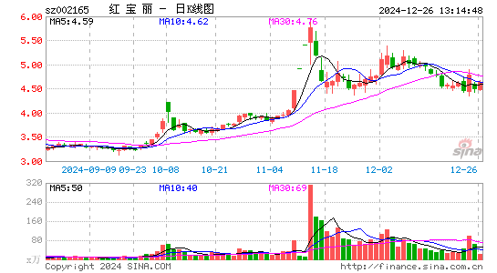 红宝丽