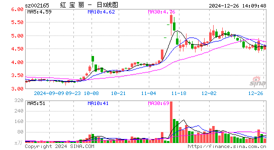 红宝丽