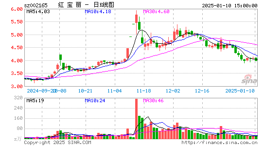 红宝丽