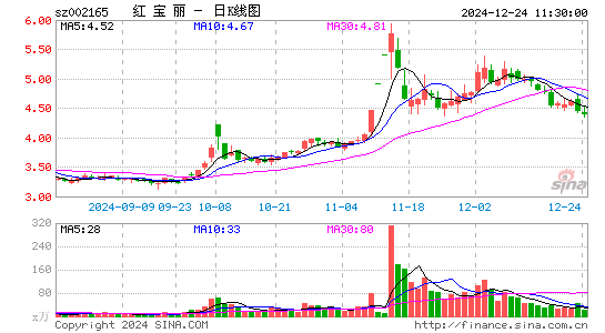 红宝丽