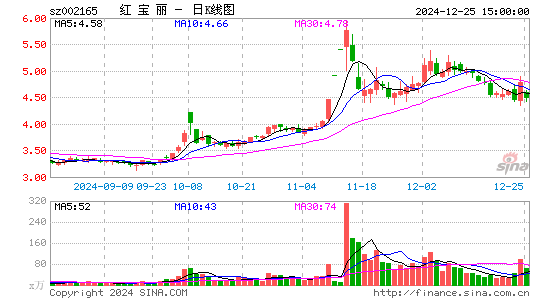 红宝丽