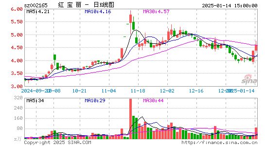 红宝丽