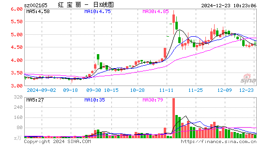 红宝丽