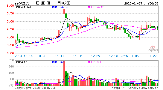 红宝丽