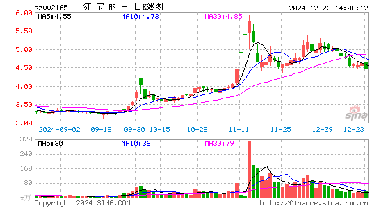 红宝丽