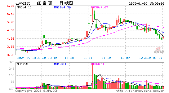 红宝丽