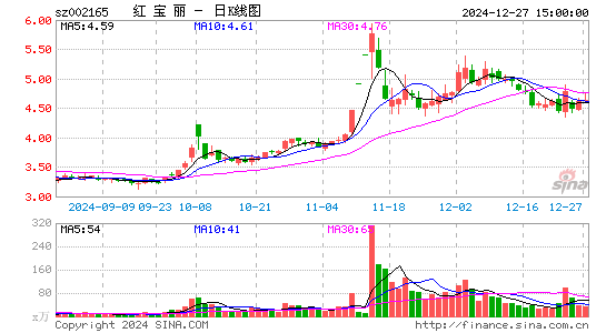 红宝丽