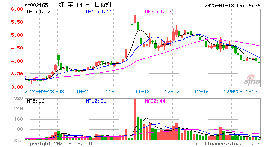 红宝丽