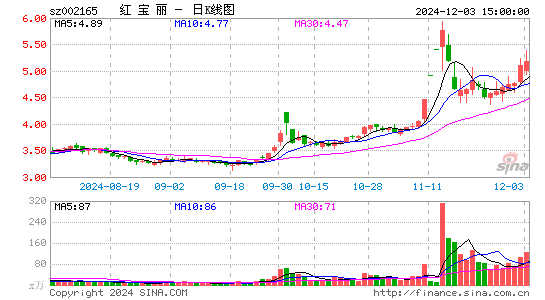 红宝丽