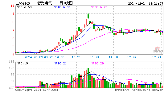 智光电气