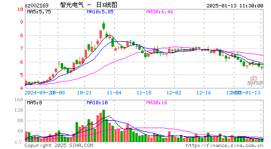 智光电气