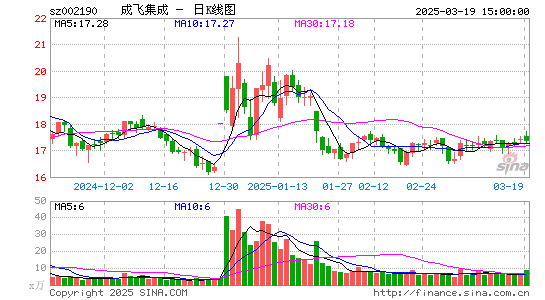 成飞集成