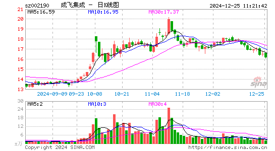 成飞集成