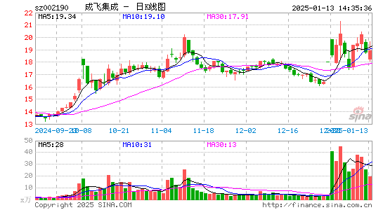 成飞集成