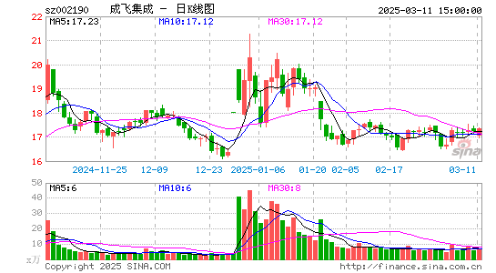 成飞集成