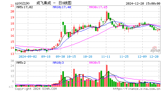 成飞集成