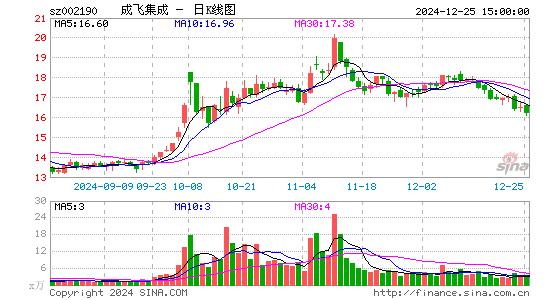 成飞集成