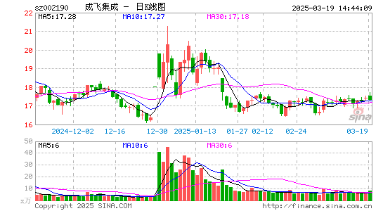 成飞集成