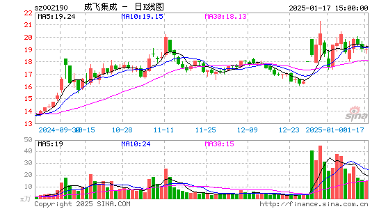 成飞集成