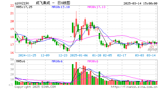 成飞集成