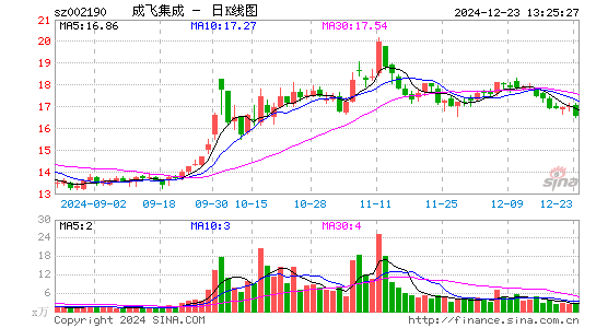 成飞集成