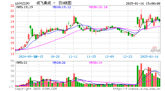 成飞集成