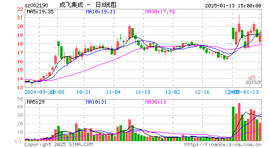 成飞集成