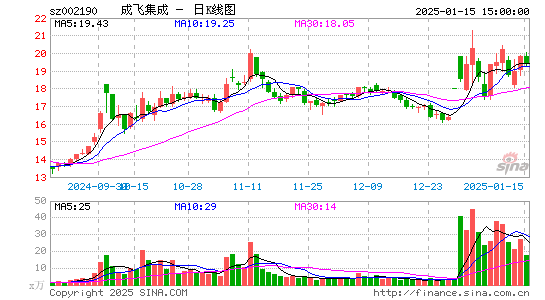 成飞集成