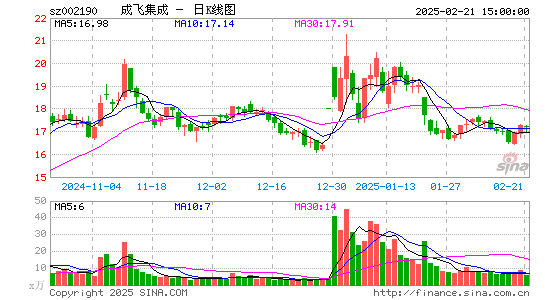 成飞集成