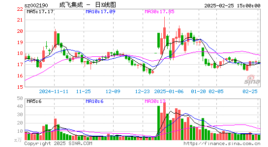 成飞集成