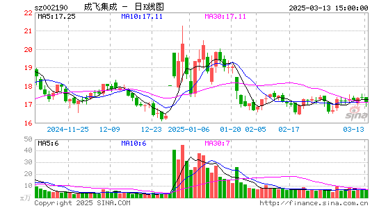 成飞集成