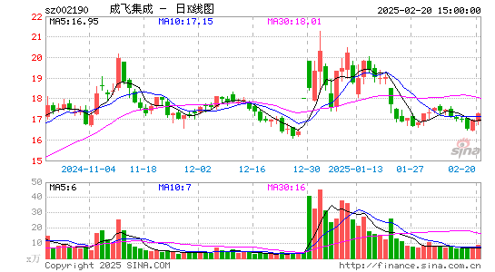 成飞集成