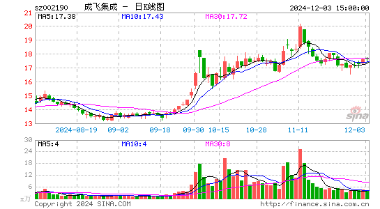 成飞集成