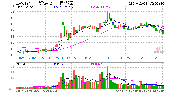 成飞集成