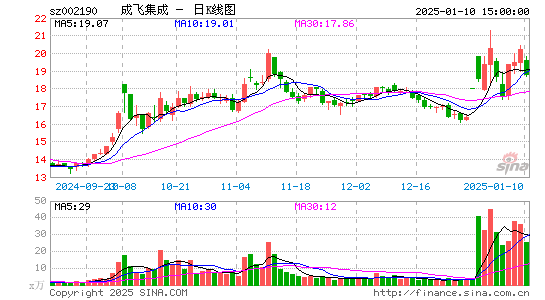 成飞集成