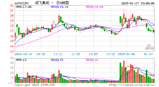 成飞集成