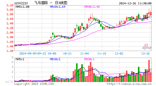 飞马国际