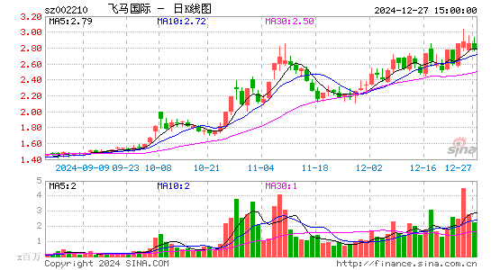 飞马国际