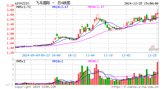 飞马国际