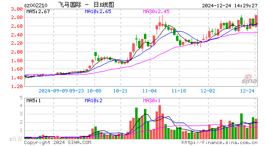 飞马国际