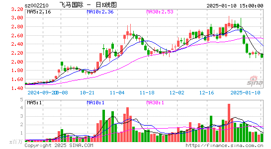 飞马国际