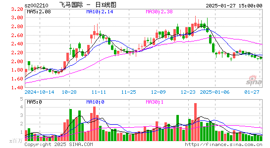 飞马国际