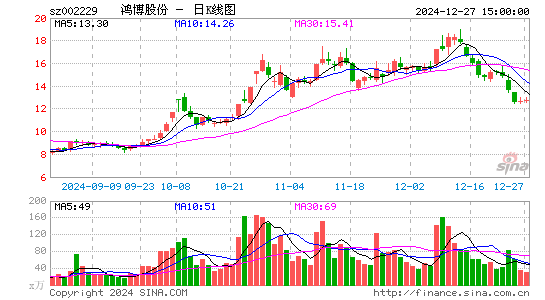 鸿博股份