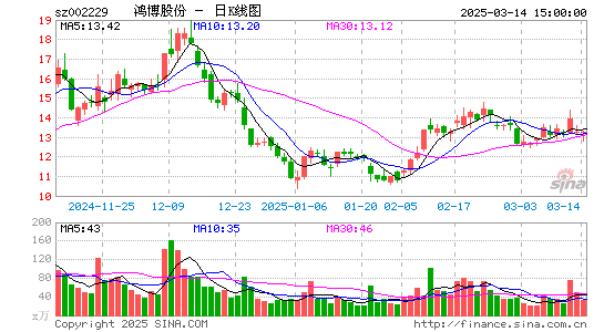 鸿博股份