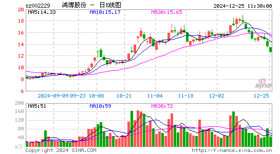 鸿博股份