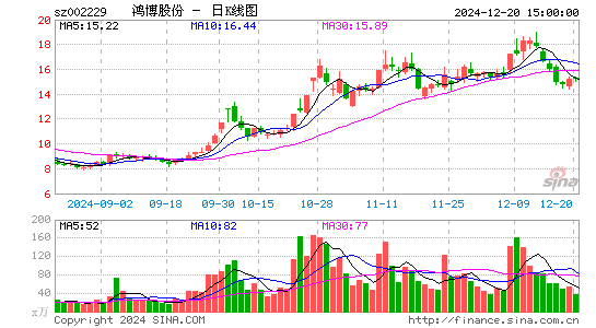 鸿博股份