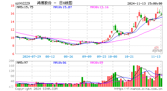 鸿博股份