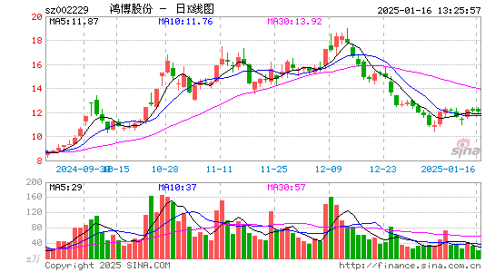 鸿博股份